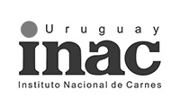 cliente